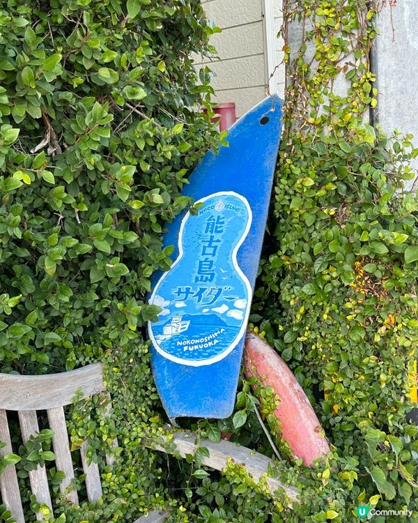 🌸福岡能古島——來一場放空、放鬆的療癒旅程吧🍵