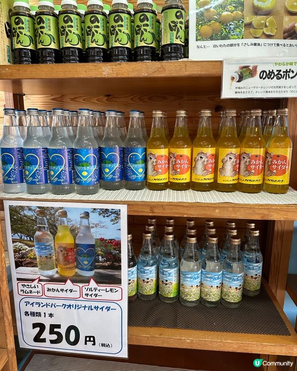 🌸福岡能古島——來一場放空、放鬆的療癒旅程吧🍵