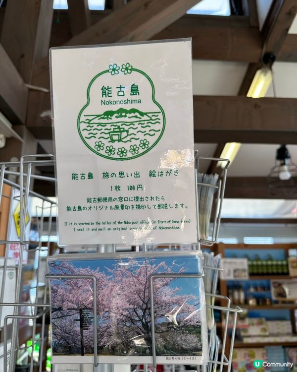 🌸福岡能古島——來一場放空、放鬆的療癒旅程吧🍵