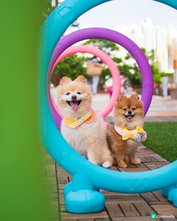 MEGABOX全新寵物樂園｜狗狗放電好去處