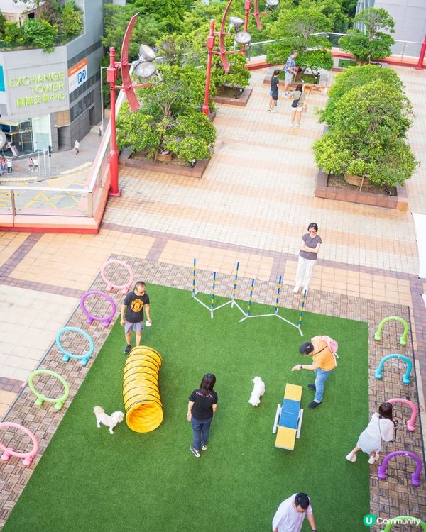 MEGABOX全新寵物樂園｜狗狗放電好去處