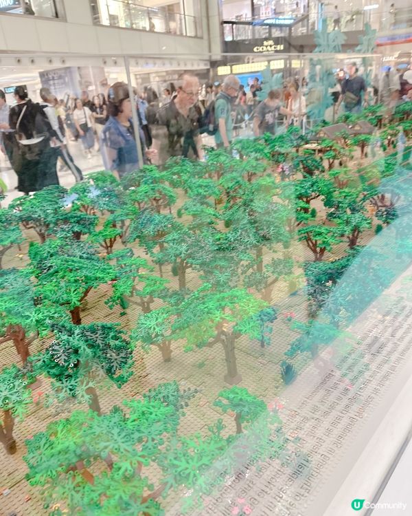 沙田驚現巨型樂高清明上河圖！🤩