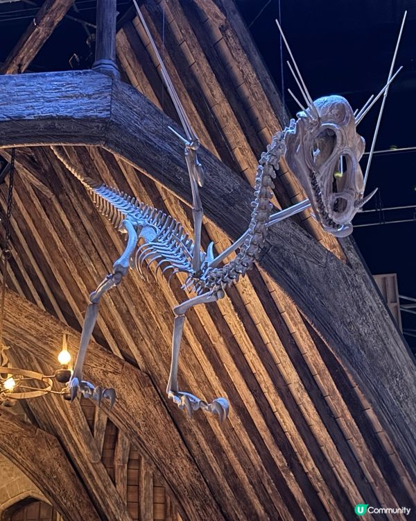 魔法國度：哈利波特城