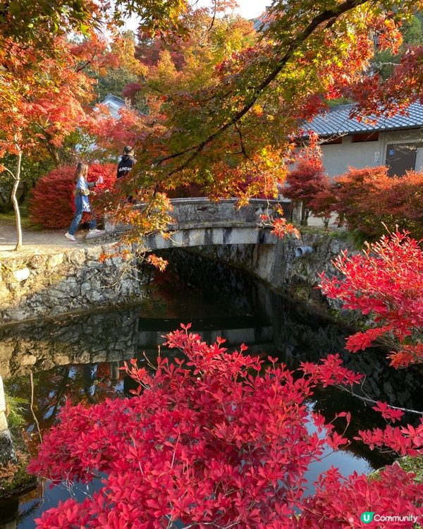  《🍁嵐山 🎎》京都近郊嘅秋天超人氣觀光景點🎌
