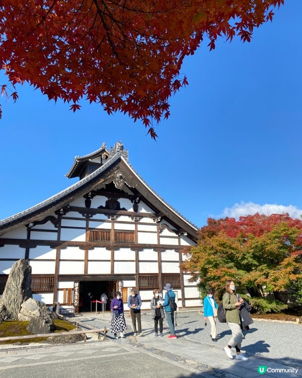  《🍁嵐山 🎎》京都近郊嘅秋天超人氣觀光景點🎌