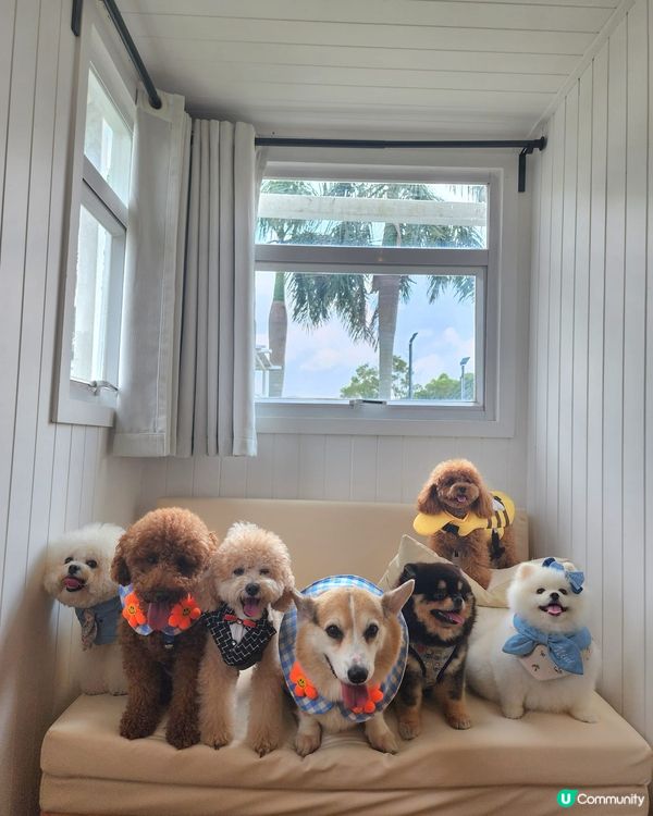 歐陸休閒渡假燒烤