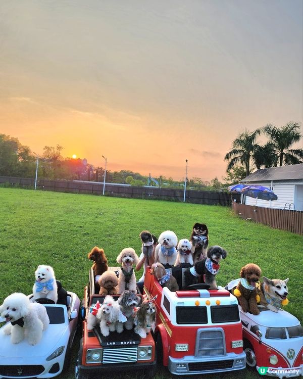 歐陸休閒渡假燒烤