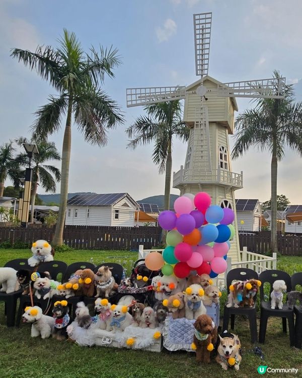 歐陸休閒渡假燒烤