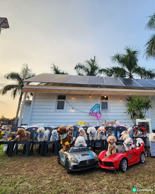 歐陸休閒渡假燒烤