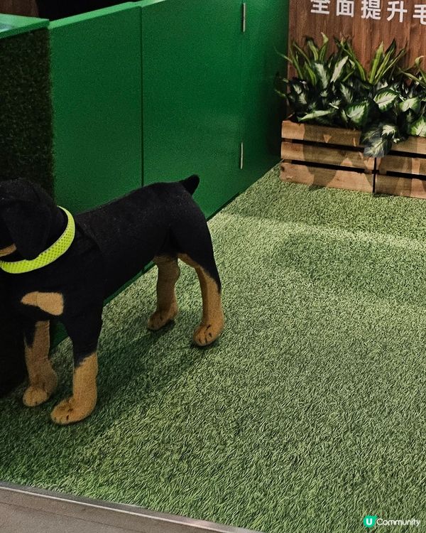 Key Tracker 定位器