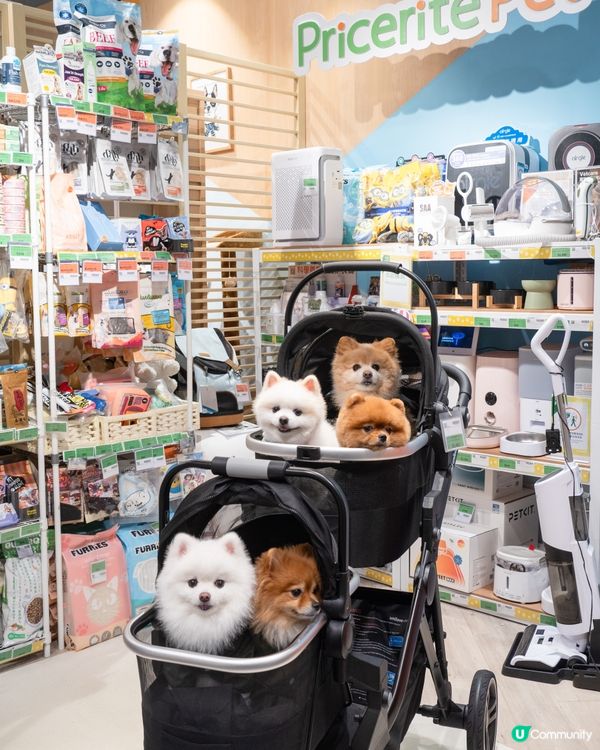 Pricerite實惠MEGABOX寵物專區｜傢俬低至5折