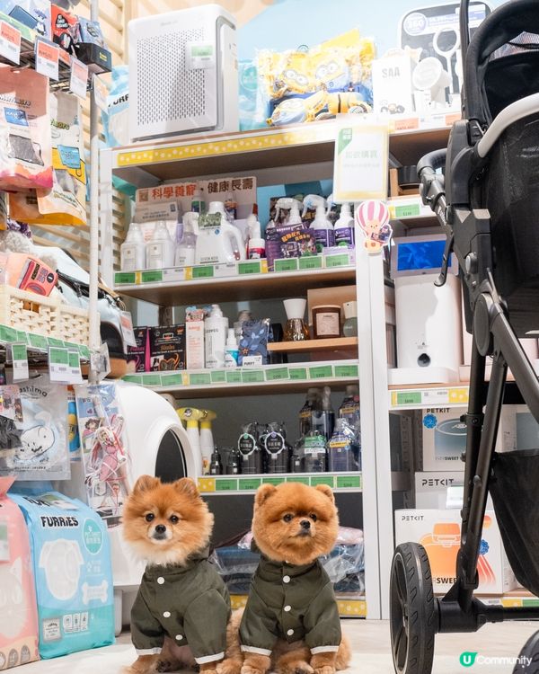Pricerite實惠MEGABOX寵物專區｜傢俬低至5折