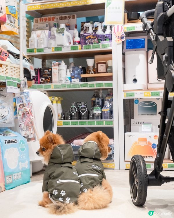 Pricerite實惠MEGABOX寵物專區｜傢俬低至5折