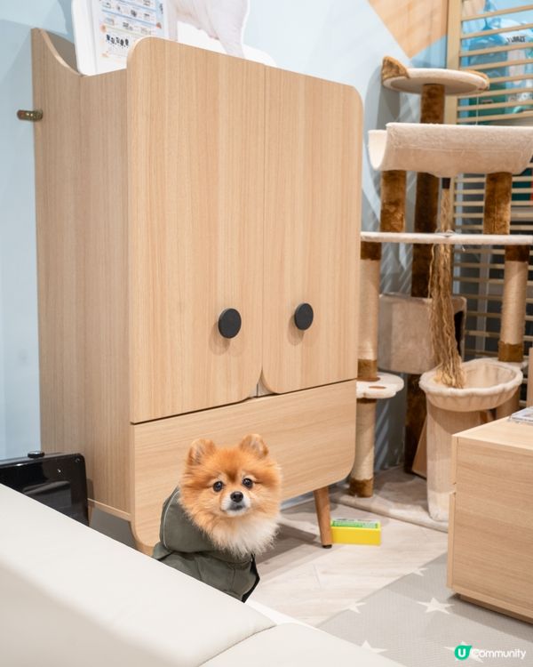 Pricerite實惠MEGABOX寵物專區｜傢俬低至5折