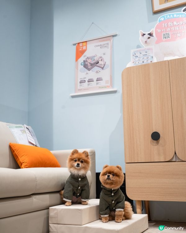 Pricerite實惠MEGABOX寵物專區｜傢俬低至5折