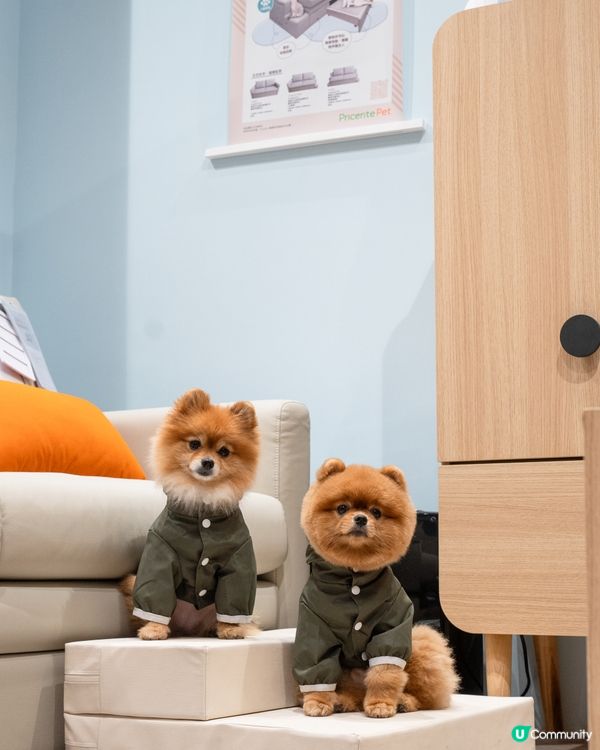 Pricerite實惠MEGABOX寵物專區｜傢俬低至5折