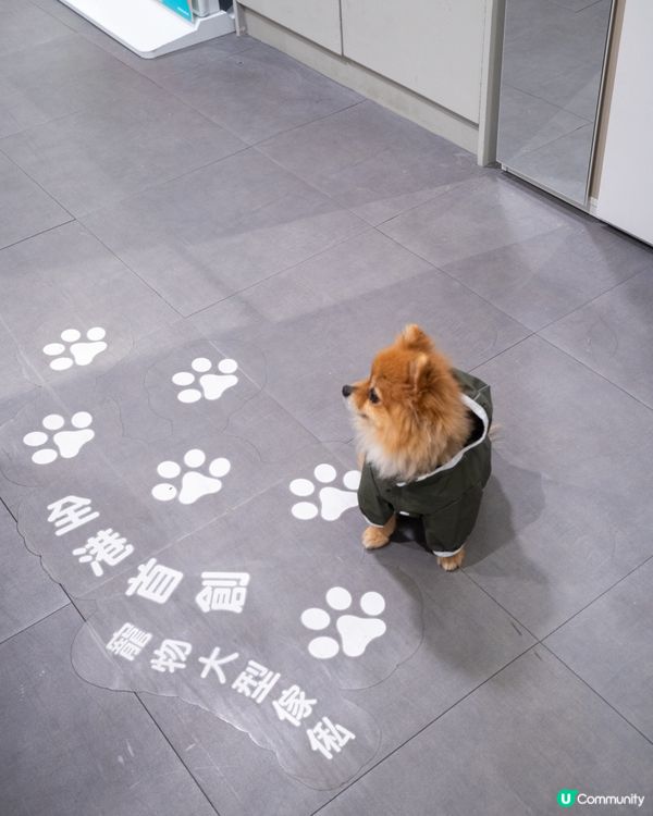 Pricerite實惠MEGABOX寵物專區｜傢俬低至5折