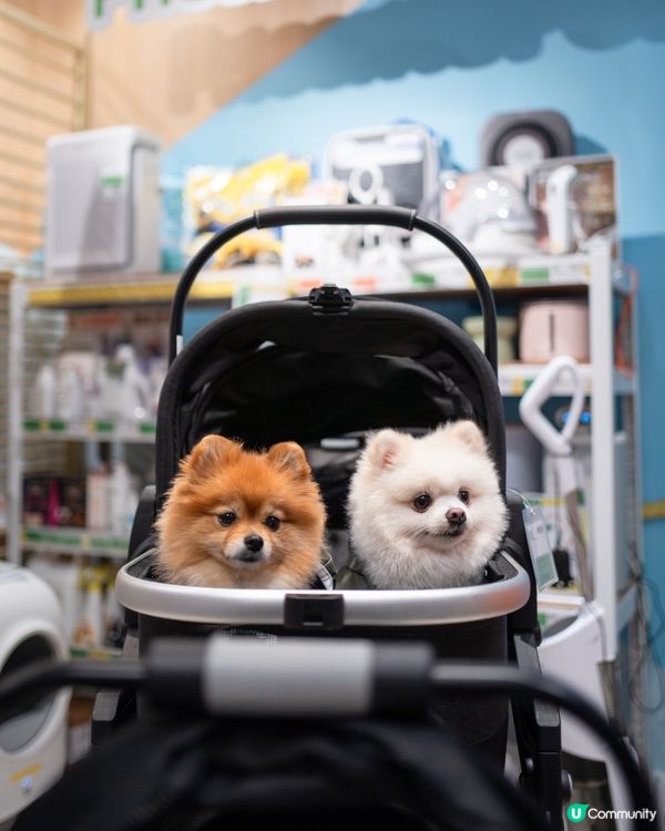 Pricerite實惠MEGABOX寵物專區｜傢俬低至5折