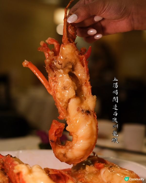 西貢六福菜館 Michelin 一星🌟 15 年！😋