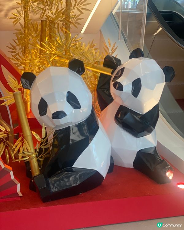 《打卡喇喂📸》🐼熊貓🐼越嚟越可愛