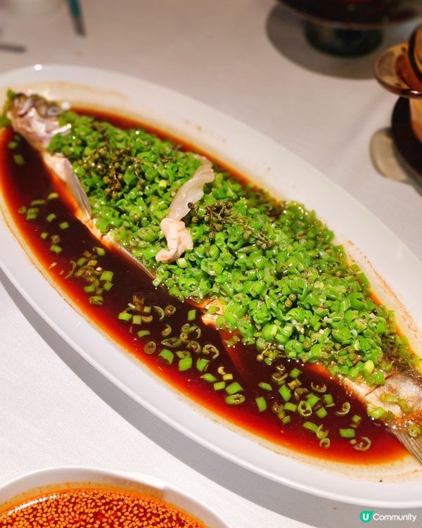 📍深圳必吃！高端川菜～許家菜🌶