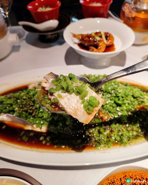 📍深圳必吃！高端川菜～許家菜🌶