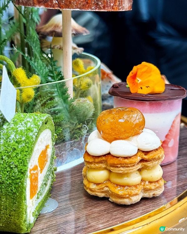 🤤 高顏值! 森系美肌下午茶