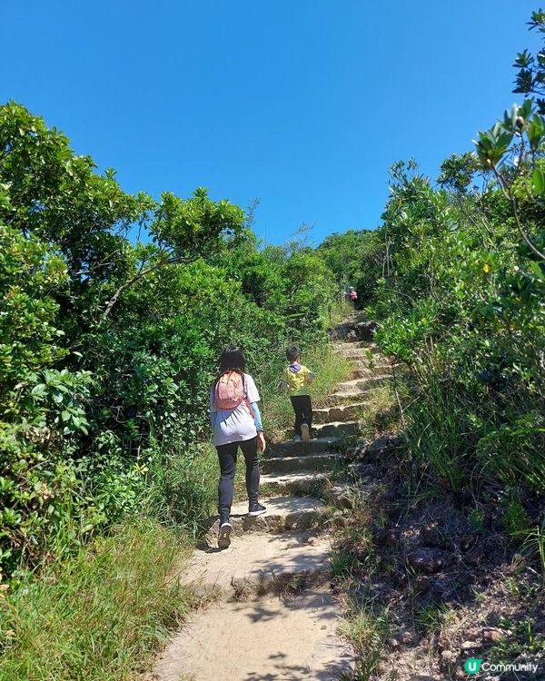 ﹝山系小達人﹞#81 龍脊 x 打爛埕頂山【筲箕灣】