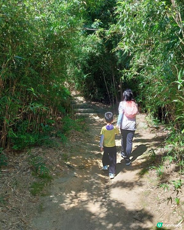 ﹝山系小達人﹞#81 龍脊 x 打爛埕頂山【筲箕灣】