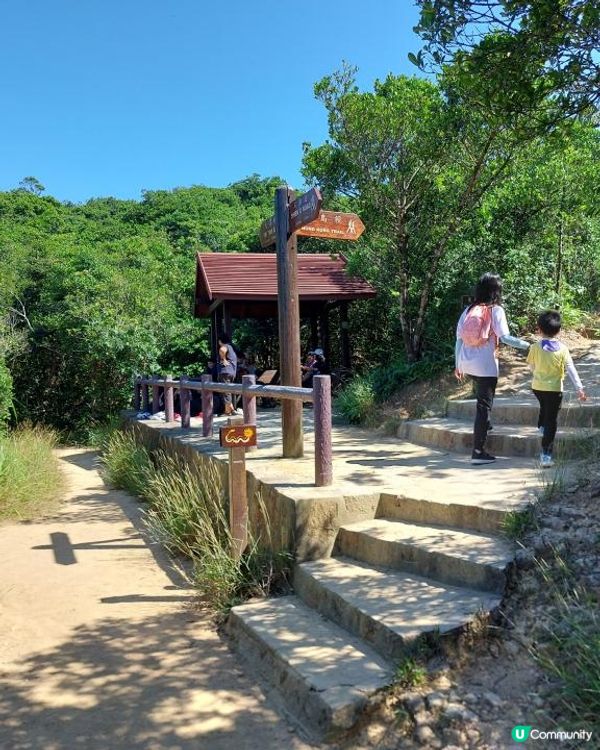 ﹝山系小達人﹞#81 龍脊 x 打爛埕頂山【筲箕灣】