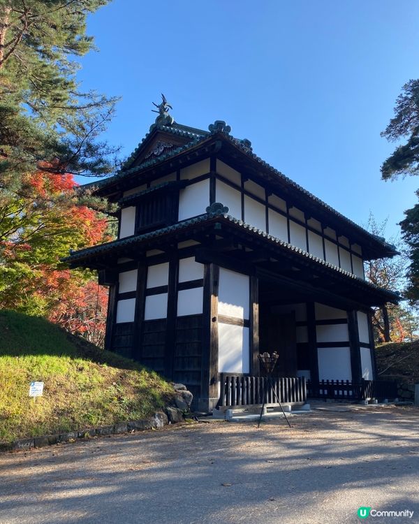 《🎌秋季旅行》青森弘前城🏯日本國花菊花紅葉祭🍁