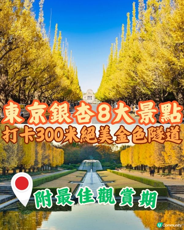 東京銀杏8大景點推介🇯🇵打卡300米絕美金色隧道💛附最佳觀賞期