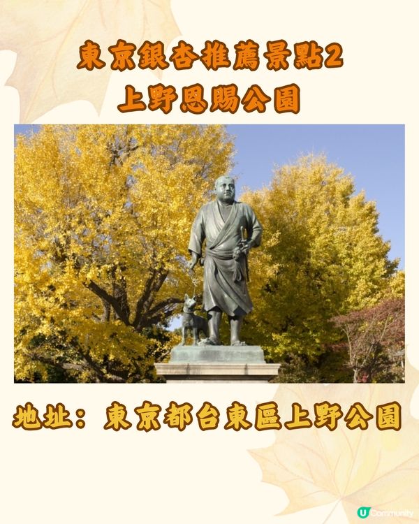 東京銀杏8大景點推介🇯🇵打卡300米絕美金色隧道💛附最佳觀賞期