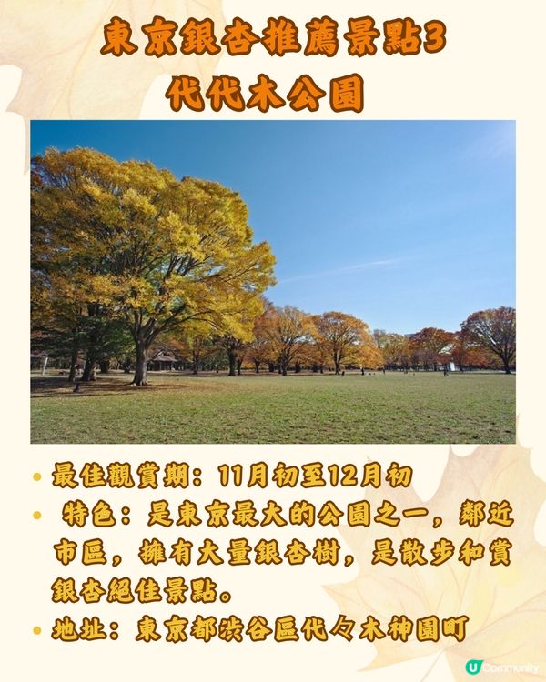 東京銀杏8大景點推介🇯🇵打卡300米絕美金色隧道💛附最佳觀賞期