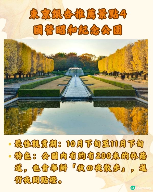 東京銀杏8大景點推介🇯🇵打卡300米絕美金色隧道💛附最佳觀賞期