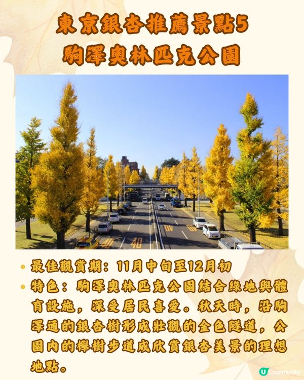 東京銀杏8大景點推介🇯🇵打卡300米絕美金色隧道💛附最佳觀賞期