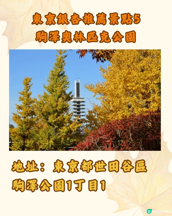 東京銀杏8大景點推介🇯🇵打卡300米絕美金色隧道💛附最佳觀賞期