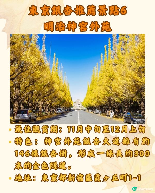 東京銀杏8大景點推介🇯🇵打卡300米絕美金色隧道💛附最佳觀賞期