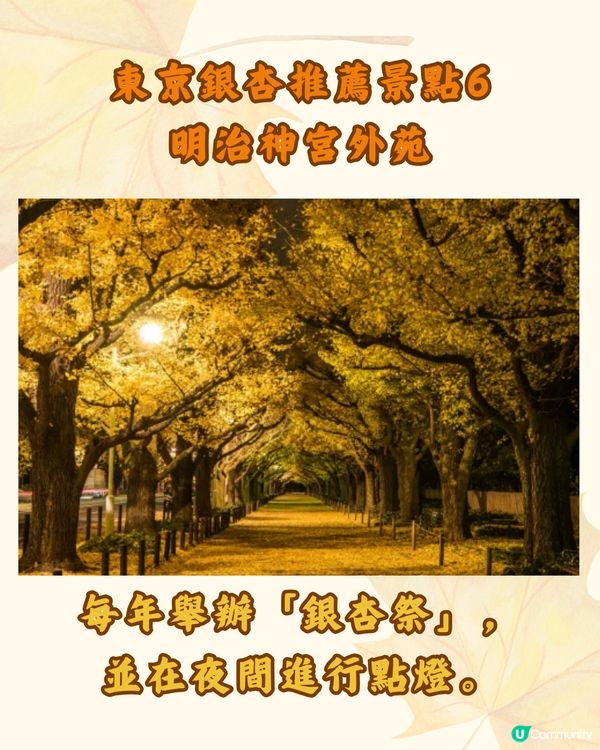 東京銀杏8大景點推介🇯🇵打卡300米絕美金色隧道💛附最佳觀賞期
