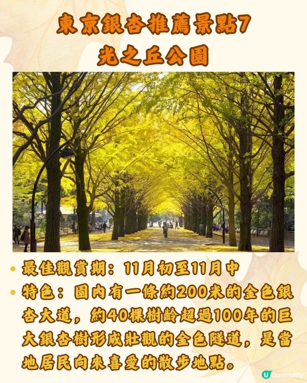 東京銀杏8大景點推介🇯🇵打卡300米絕美金色隧道💛附最佳觀賞期