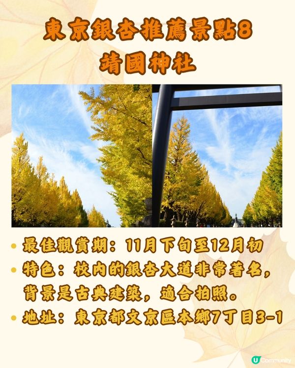 東京銀杏8大景點推介🇯🇵打卡300米絕美金色隧道💛附最佳觀賞期