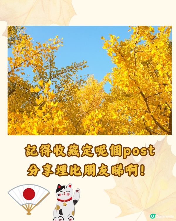 東京銀杏8大景點推介🇯🇵打卡300米絕美金色隧道💛附最佳觀賞期