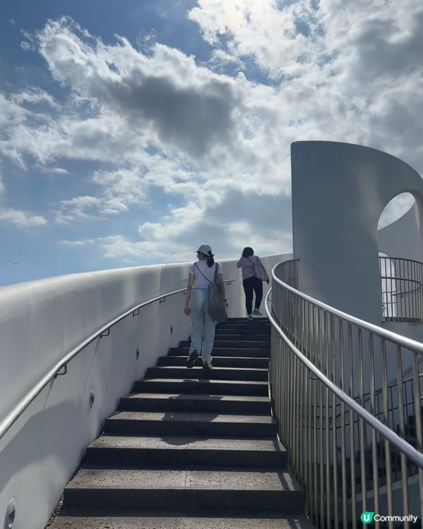 🇰🇷濟洲 Camellia Hill🌺山茶花之丘