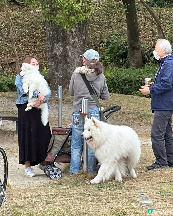 大濠公園💚🇯🇵福岡野餐好去處👍🏻