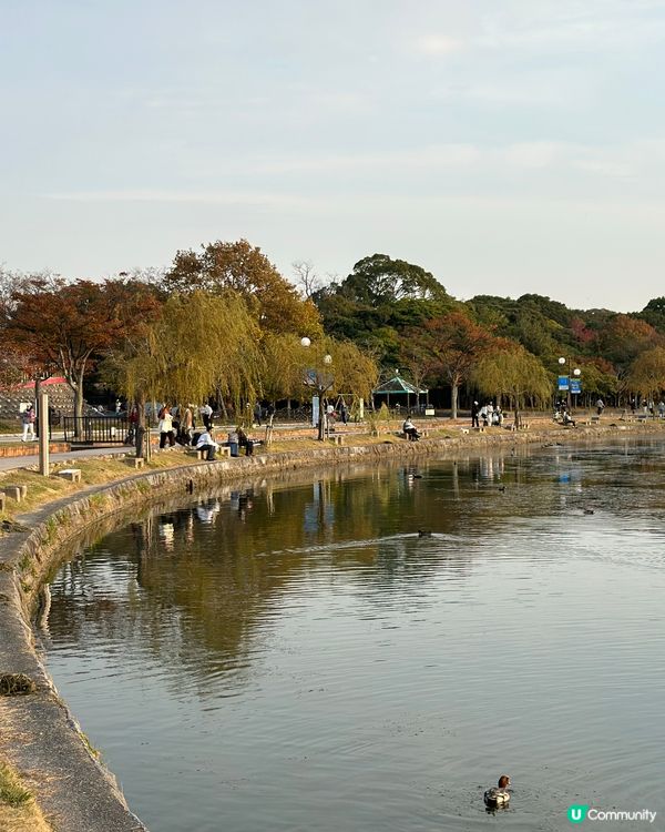 大濠公園💚🇯🇵福岡野餐好去處👍🏻