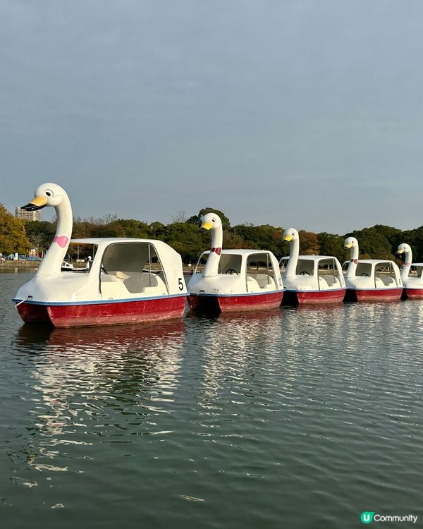 大濠公園💚🇯🇵福岡野餐好去處👍🏻