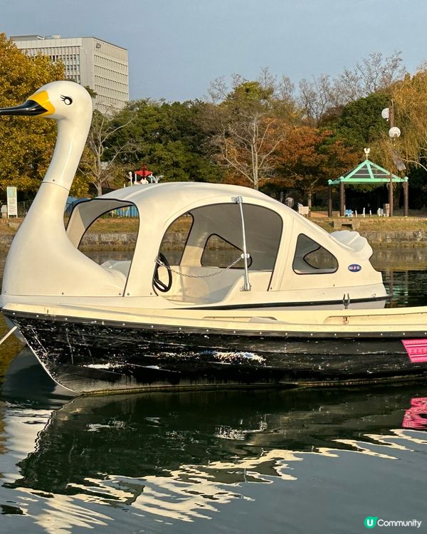 大濠公園💚🇯🇵福岡野餐好去處👍🏻
