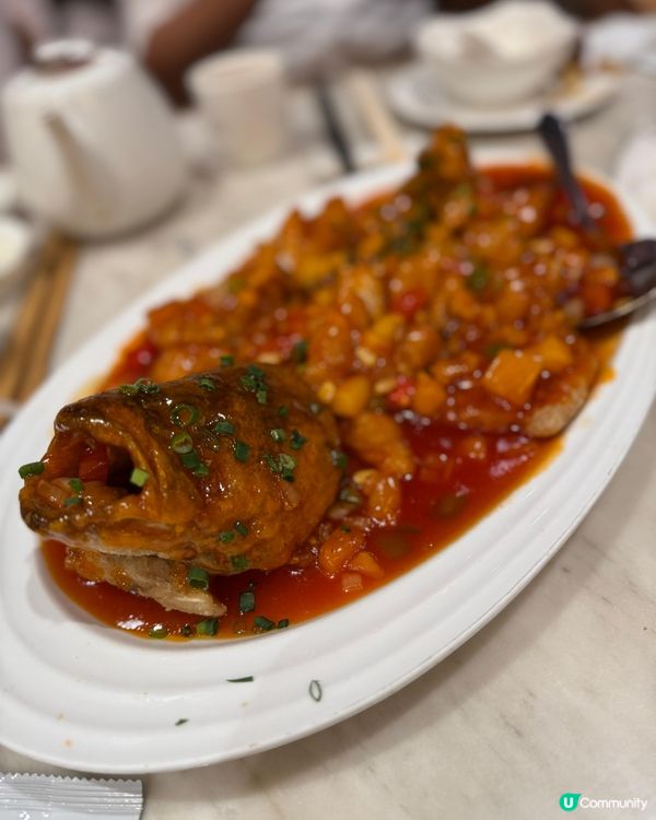 古琴雅苑 環境古典雅致✨食物質素不錯👌🏻