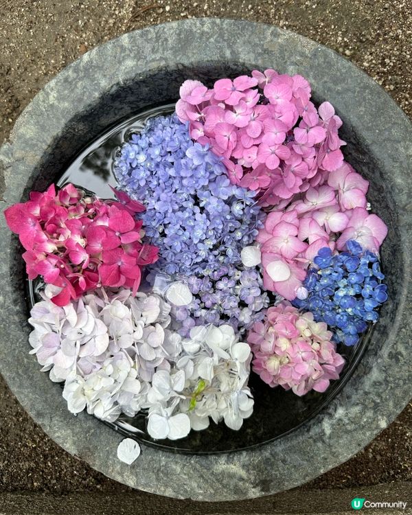 🇯🇵筥崎宮⛩️銭洗御神水              💵守護財運👛