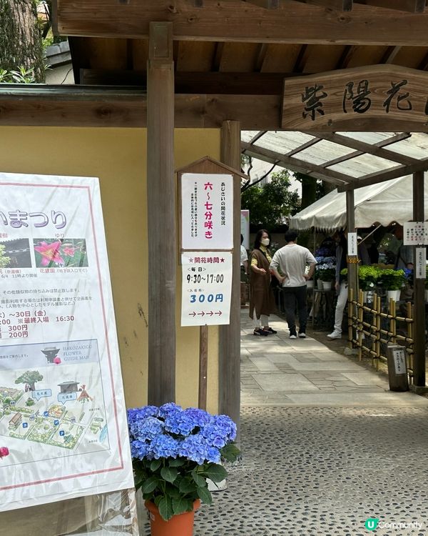 🇯🇵筥崎宮⛩️銭洗御神水              💵守護財運👛